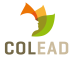 COLEAD-logo-511x512-1